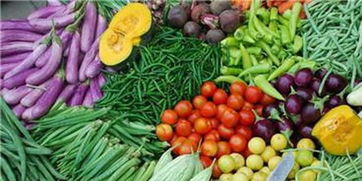 安庆市建成131套农产品快检系统 筑牢食品安全防线