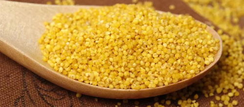 官宣中国供销延安农产品物流园，助力农产品流通新篇章