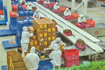 舞活龙头产业兴，做强特色专业镇——农产品加工业的振兴之路