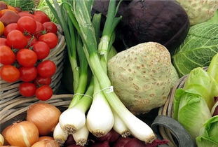 关于加快推进宁夏特色优质农产品品牌建设的意见