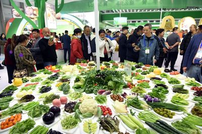 成果显著 第二十届中国国际农产品交易会在青岛圆满闭幕